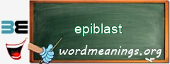 WordMeaning blackboard for epiblast